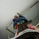 Enamelled ceramic parrot signed Maillard