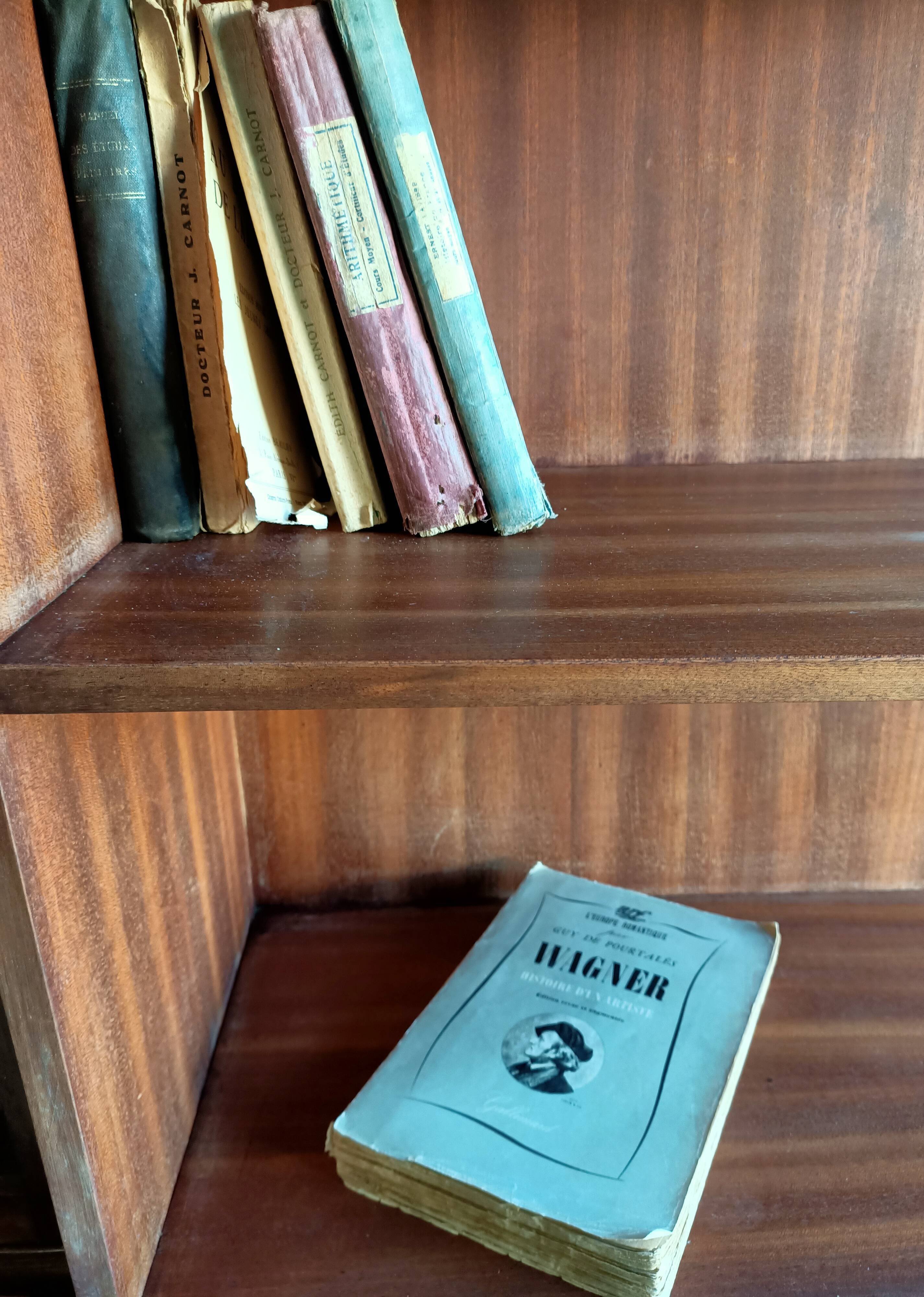 Vintage wall shelf/closet