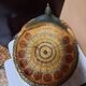 Corbeille en forme de paon