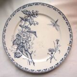 Terre de Fer dessert plate, Carmen de Sarreguemines: Flowers & Dragonfly, N5