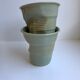 Duo de tasses revol couleur vert sauge