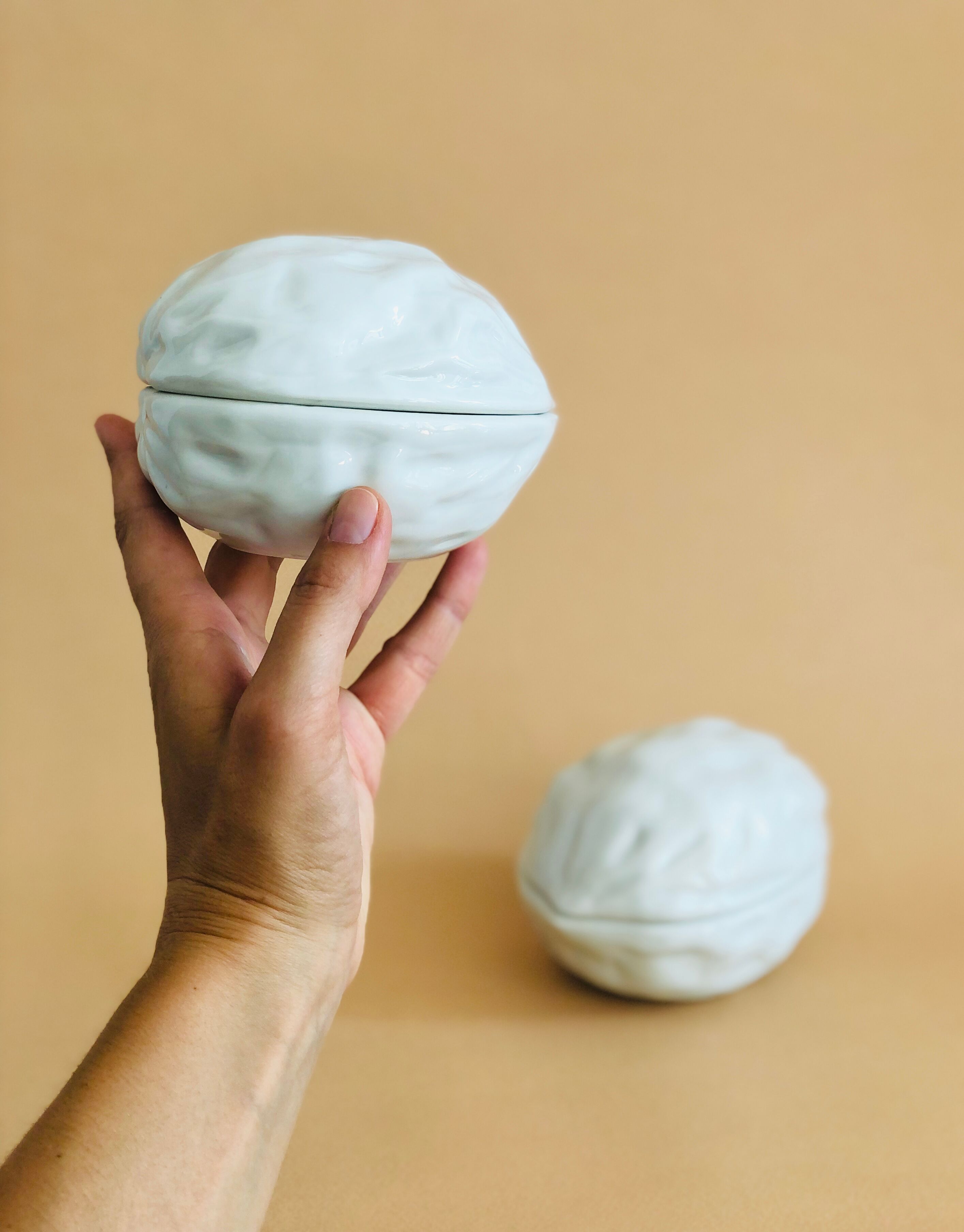 Pair of Limoges porcelain nut boxes