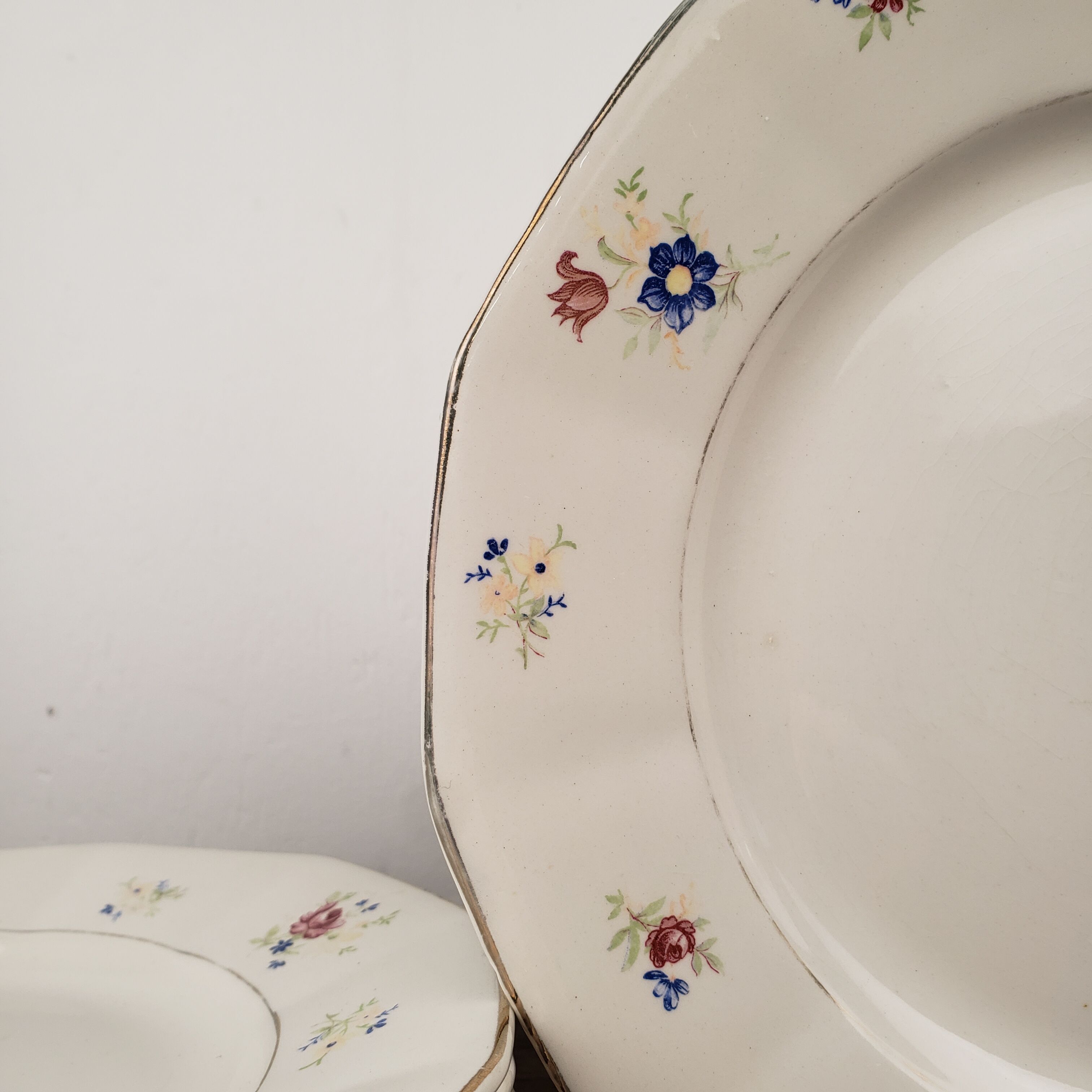Flat plates x8 - Digoin Sarreguemines, Falaise model