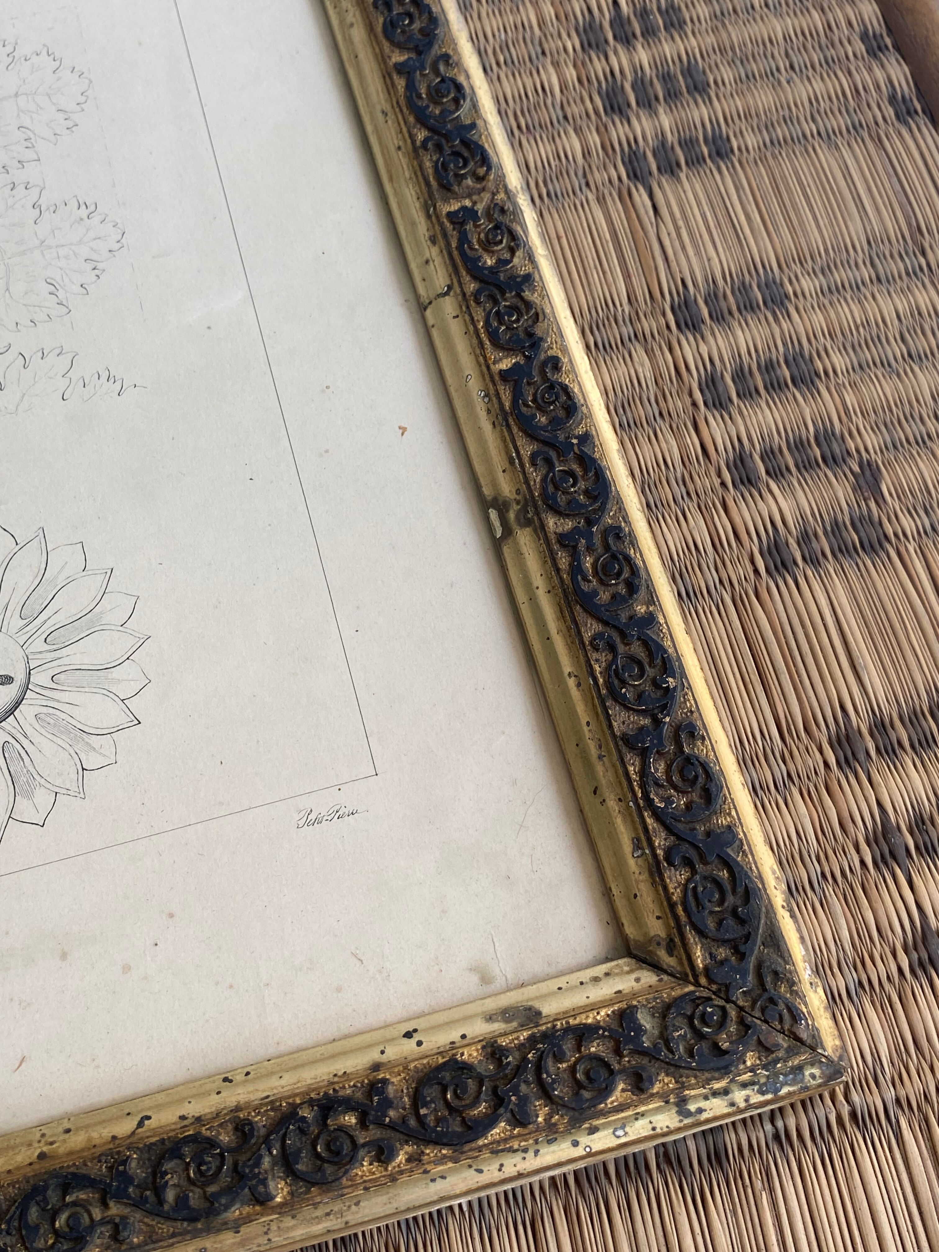 Architectural drawing 1857, glazed wood frame