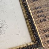 Architectural drawing 1857, glazed wood frame