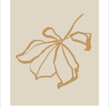 Botanical illustration giclee print, 50x70