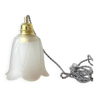 Portable/suspension lamp