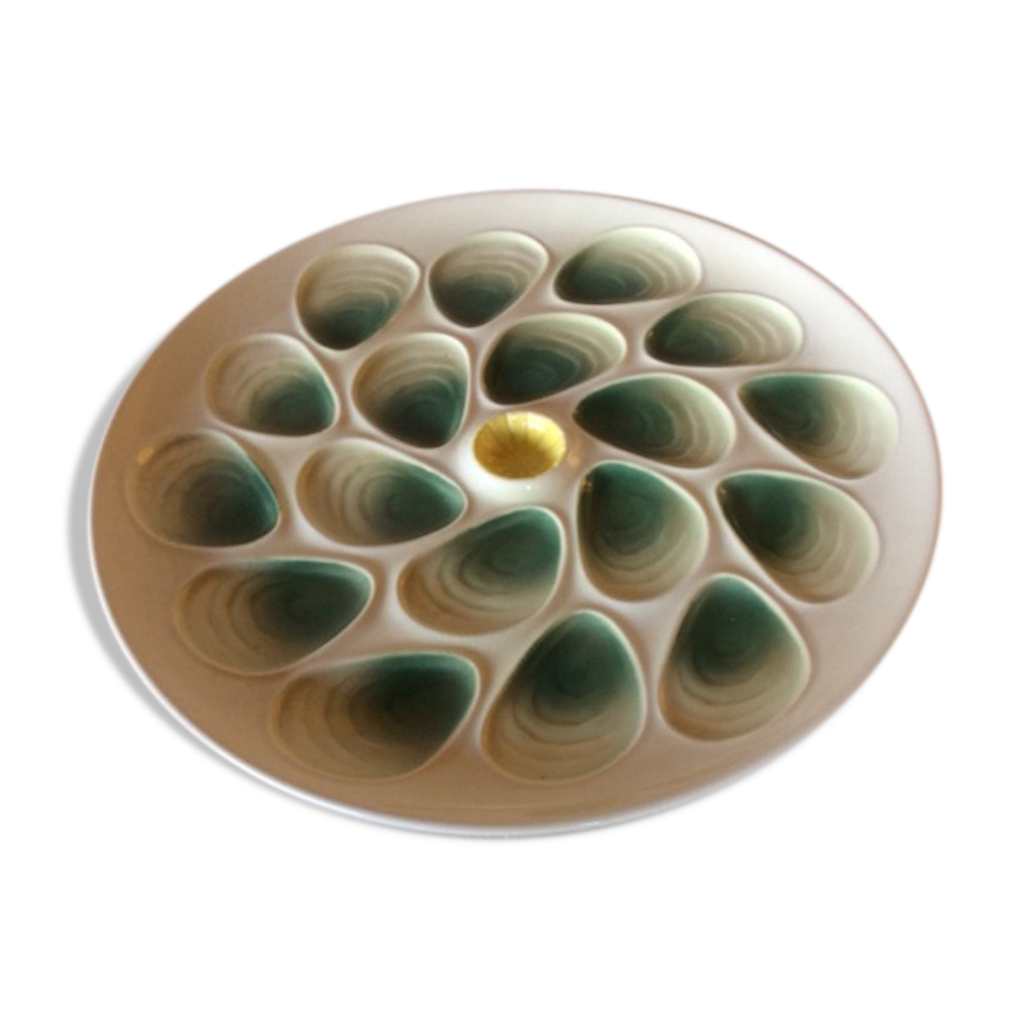 Flat oyster Salins