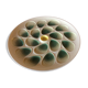 Flat oyster Salins