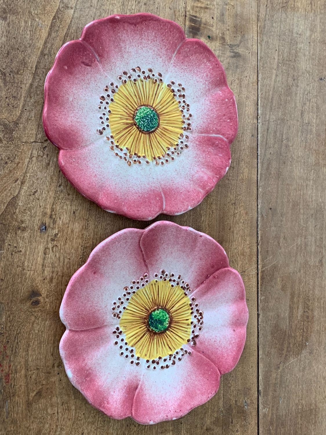 Two plates in slip by ceramist Delphin Massier