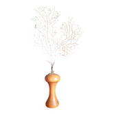Natural white gorgone on a wooden base
