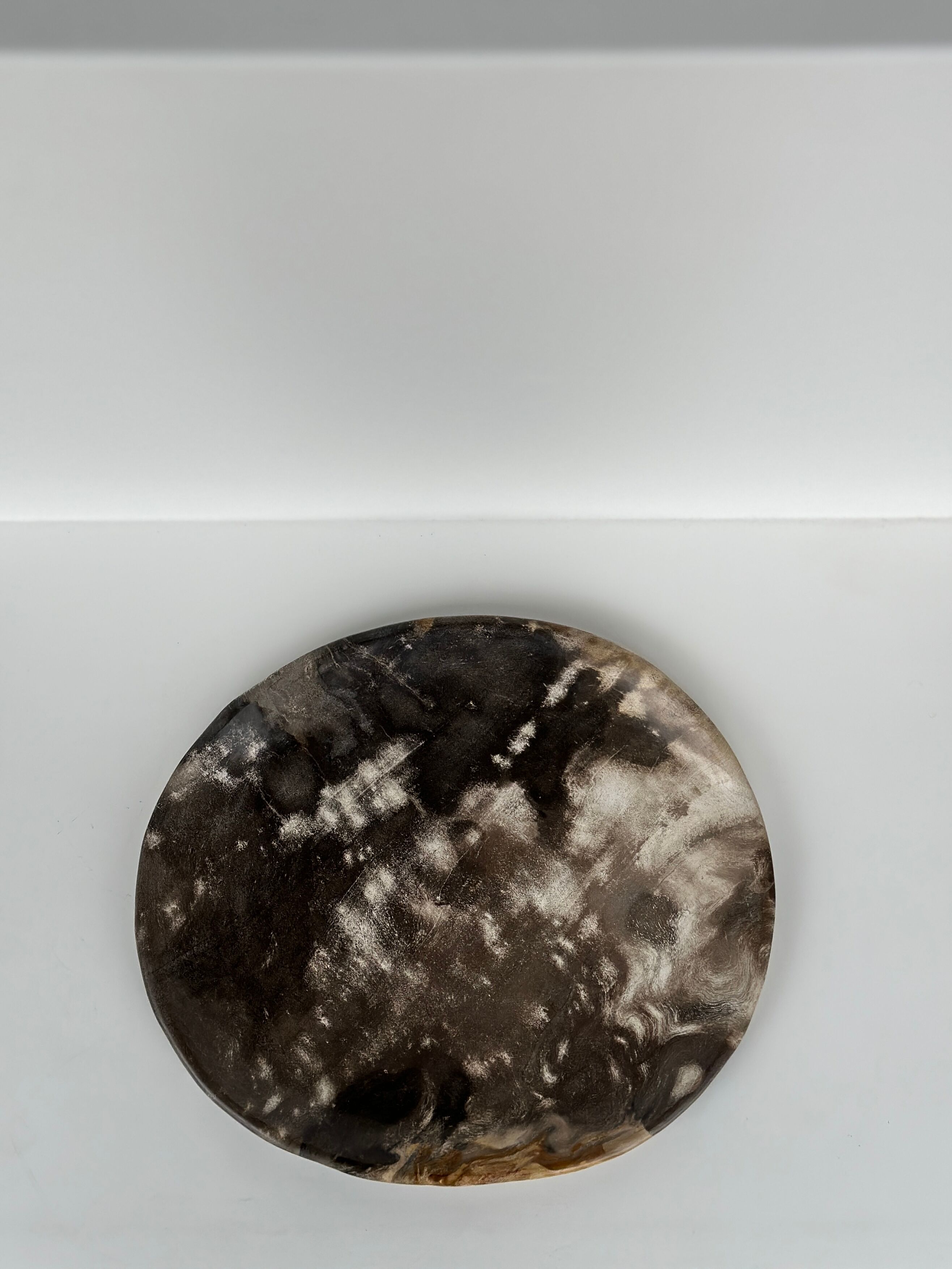 Dish in petrified wood