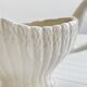 White asparagus slushy gravy boat.