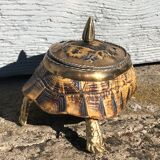 Turtle Storage Box by Anthony Redmile