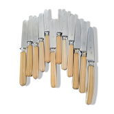 Old ivory handle knives
