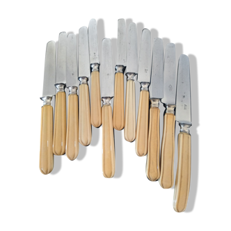 Old ivory handle knives