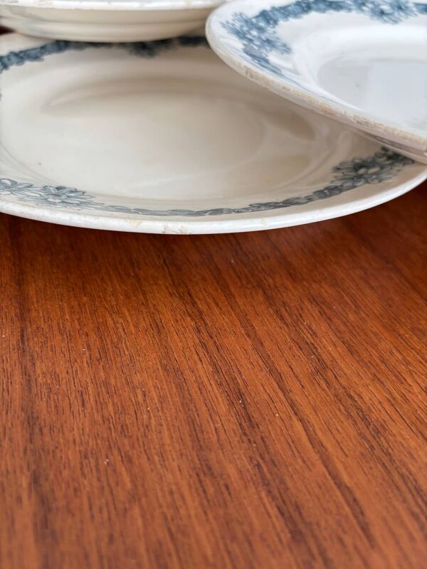 Lot de 8 assiettes plates terre de fer Longchamp modele Denise