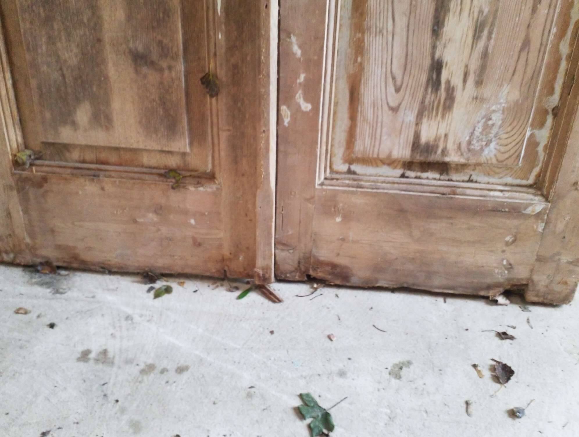 Pair of old doors