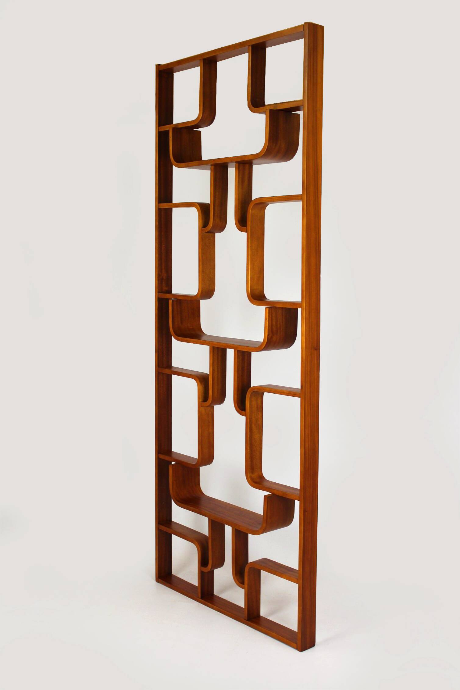 Restored Mid-Century Room Divider by L. Volak for Drevopodnik Holesov, 1960s