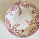 E. Bourgeois dish