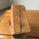 Leduc ceramic herbarium vase