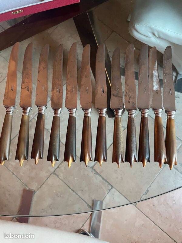 Coffret 12 couteaux de table fin 19 ème en corne