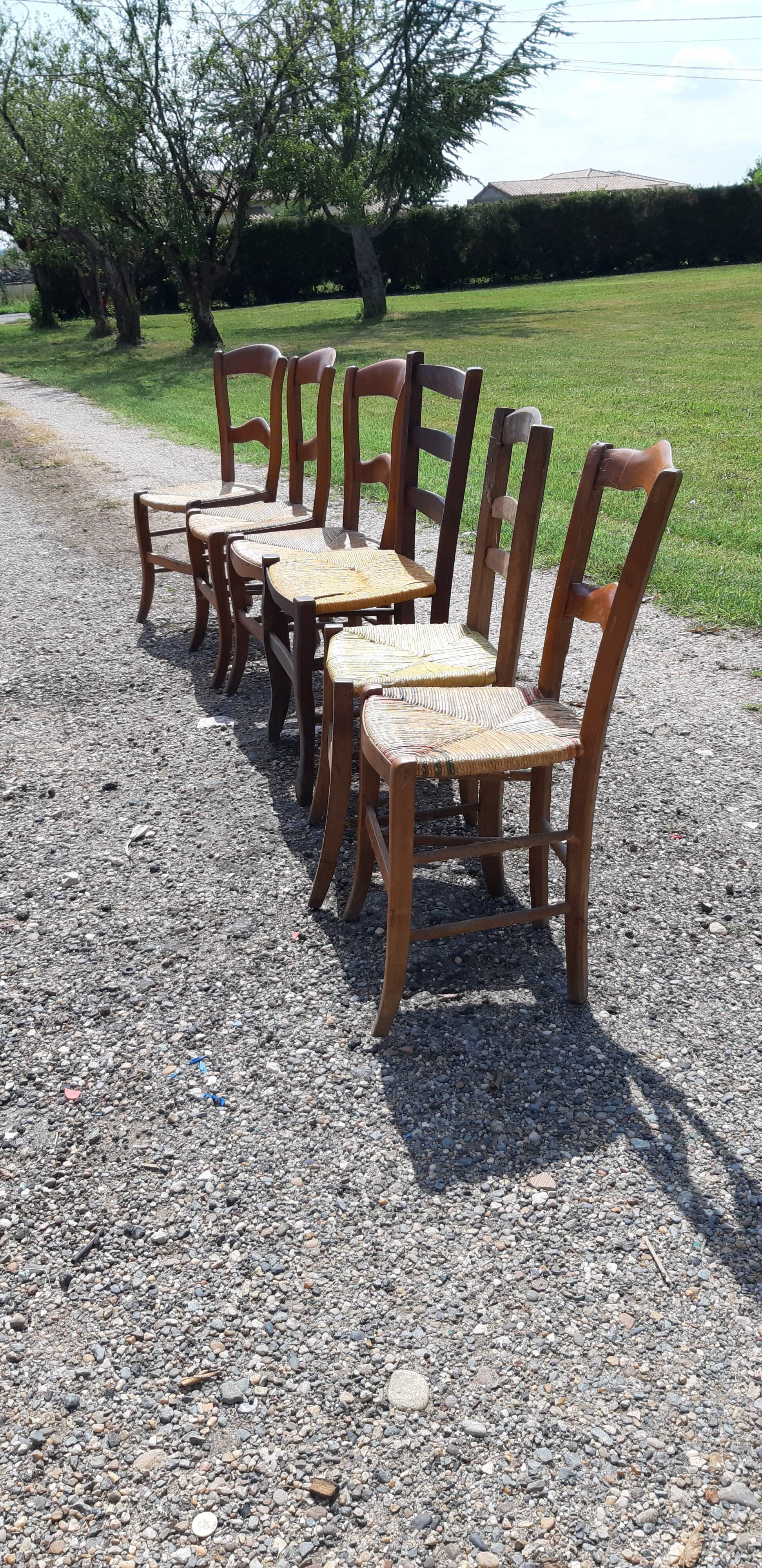 6 antique mulched chairs