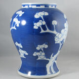 Chinese potiche blue white China
