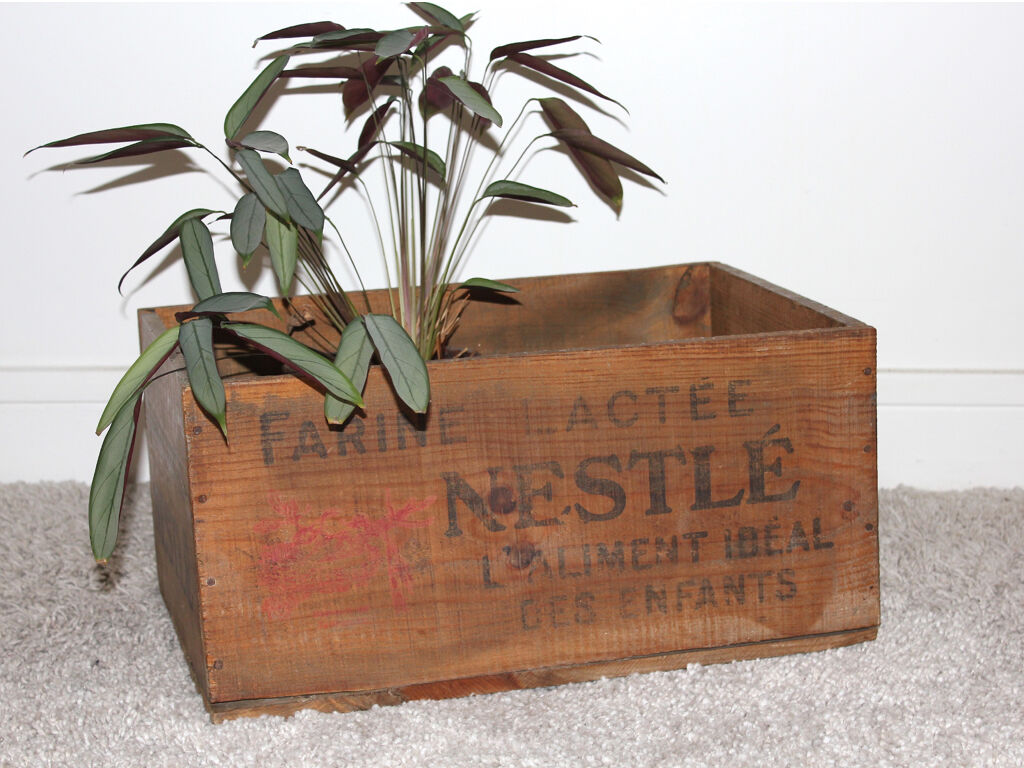 Nestlé wooden crate