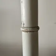 Porte manteau perroquet