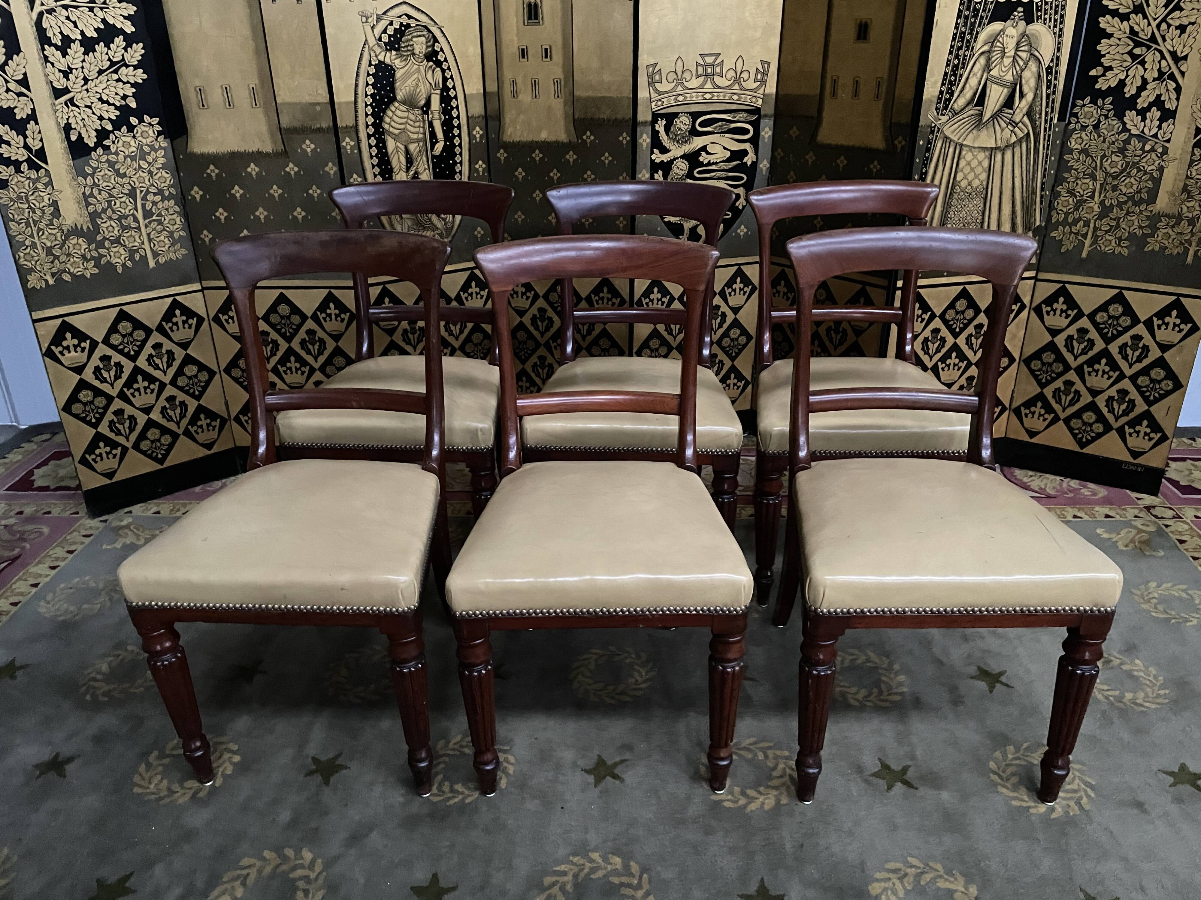 6 chaises anglaises Louis Philippe en acajou et cuir