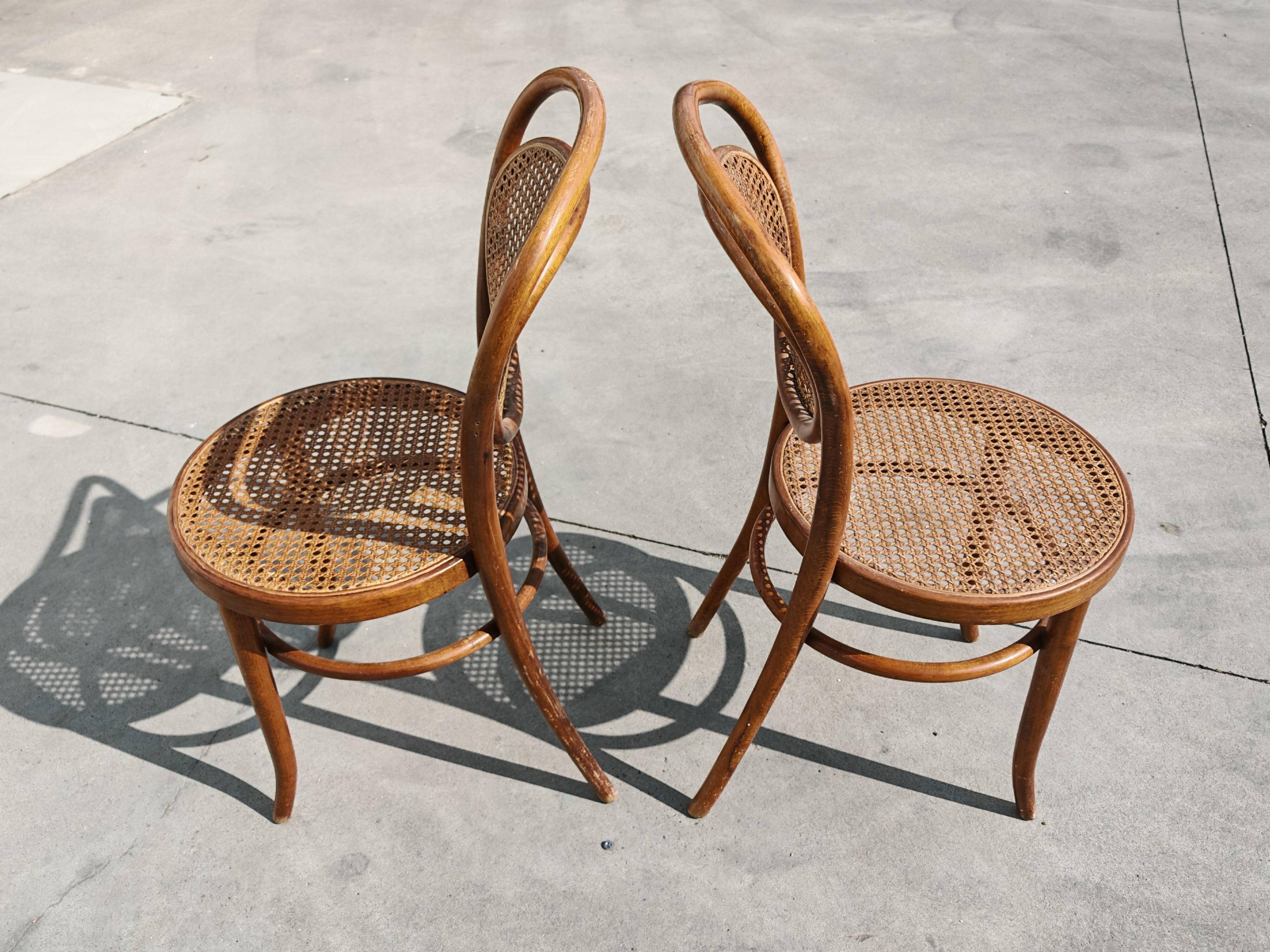 Paire de chaises en cannage et bois courbé par Mundus