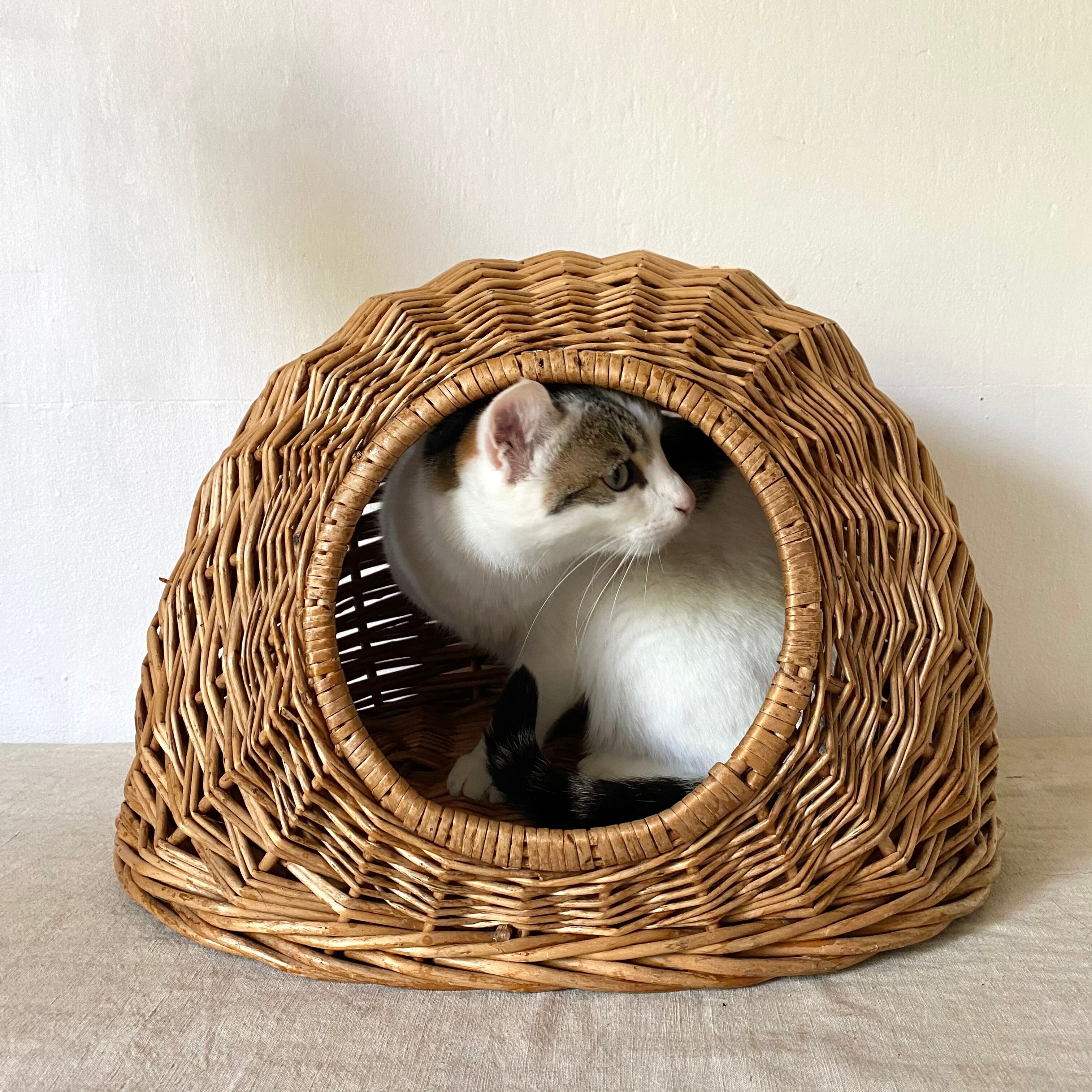 Basket for cat or dog in woven wicker