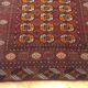 Oriental carpet bukhara 125 x 200 cm