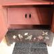 Armoire chinoise, avec incrustations de nacre