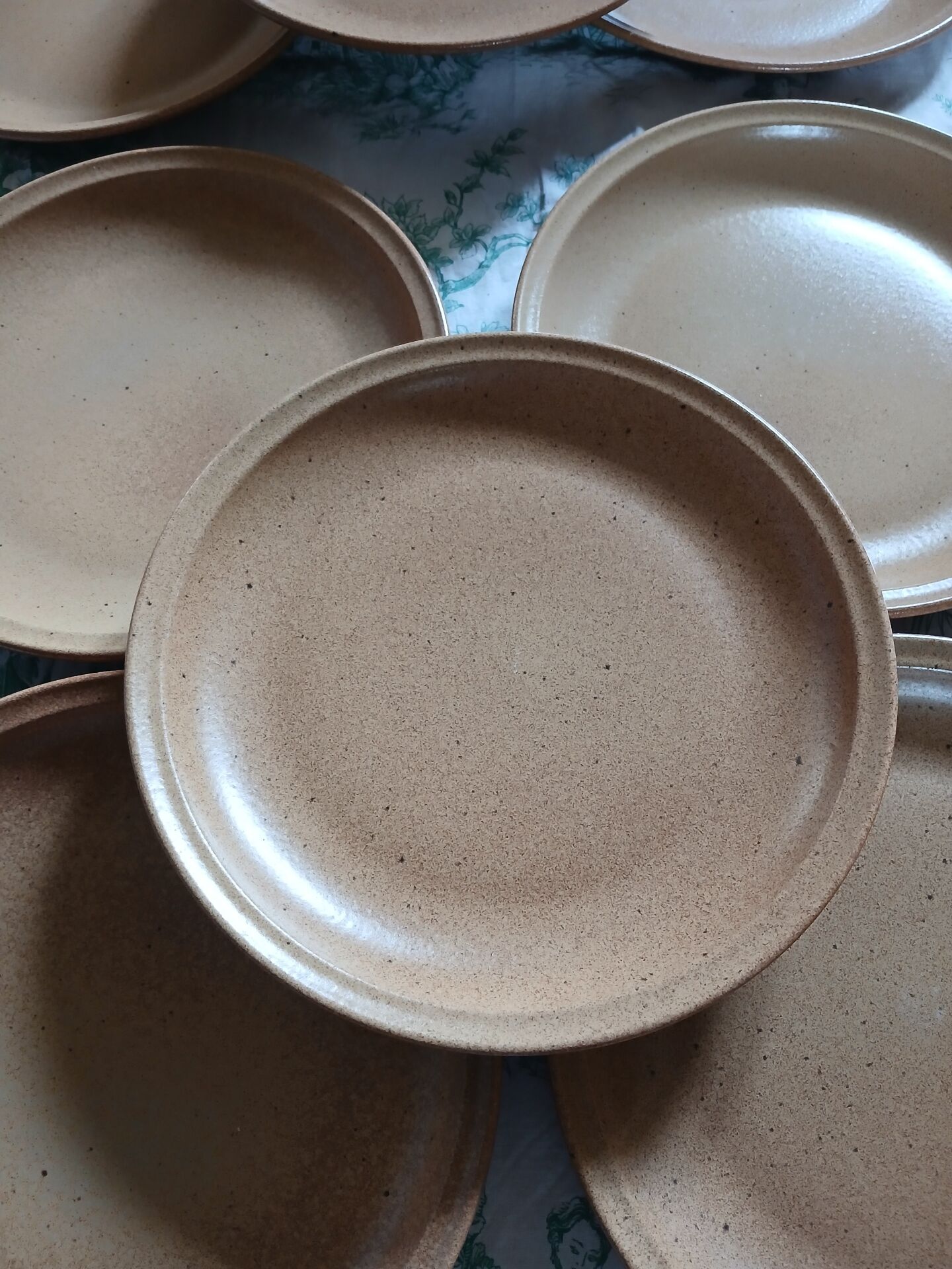 9 flat plates in Sarreguemines stoneware