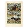 Gravure ancienne de 1923 - Oiseaux du monde II par A. Millot - Illustration