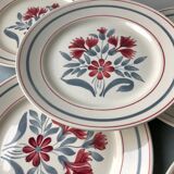 5 assiettes plates anciennes Luneville Herblay