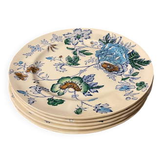 Lot de 5 assiettes dessert