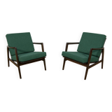 Model 300-139 Armchairs from Swarzędz Furniture Factory, 1960s, Set of 2