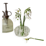 Old flower pick