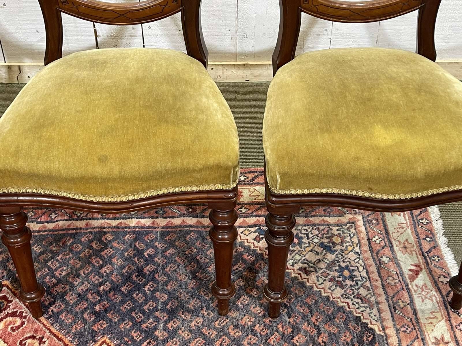 Set of 4 Victorian English chairs, 19th century, in mahogany