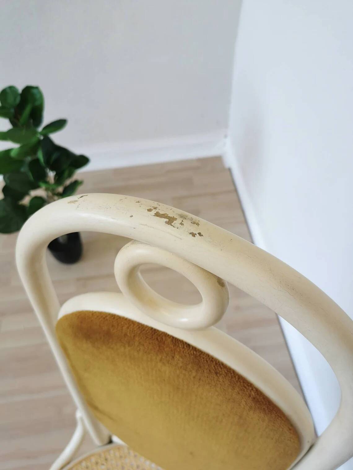 Vintage Thonet Bentwood Dining Chair: Cane Seat, Yellow Fabric Back