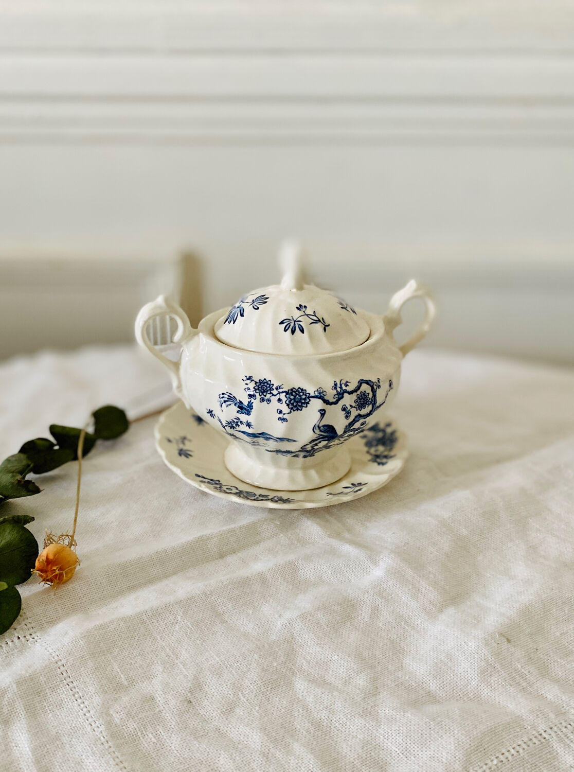 Old English porcelain sugar bowl Myott Staffordshire blue exotic birds decor