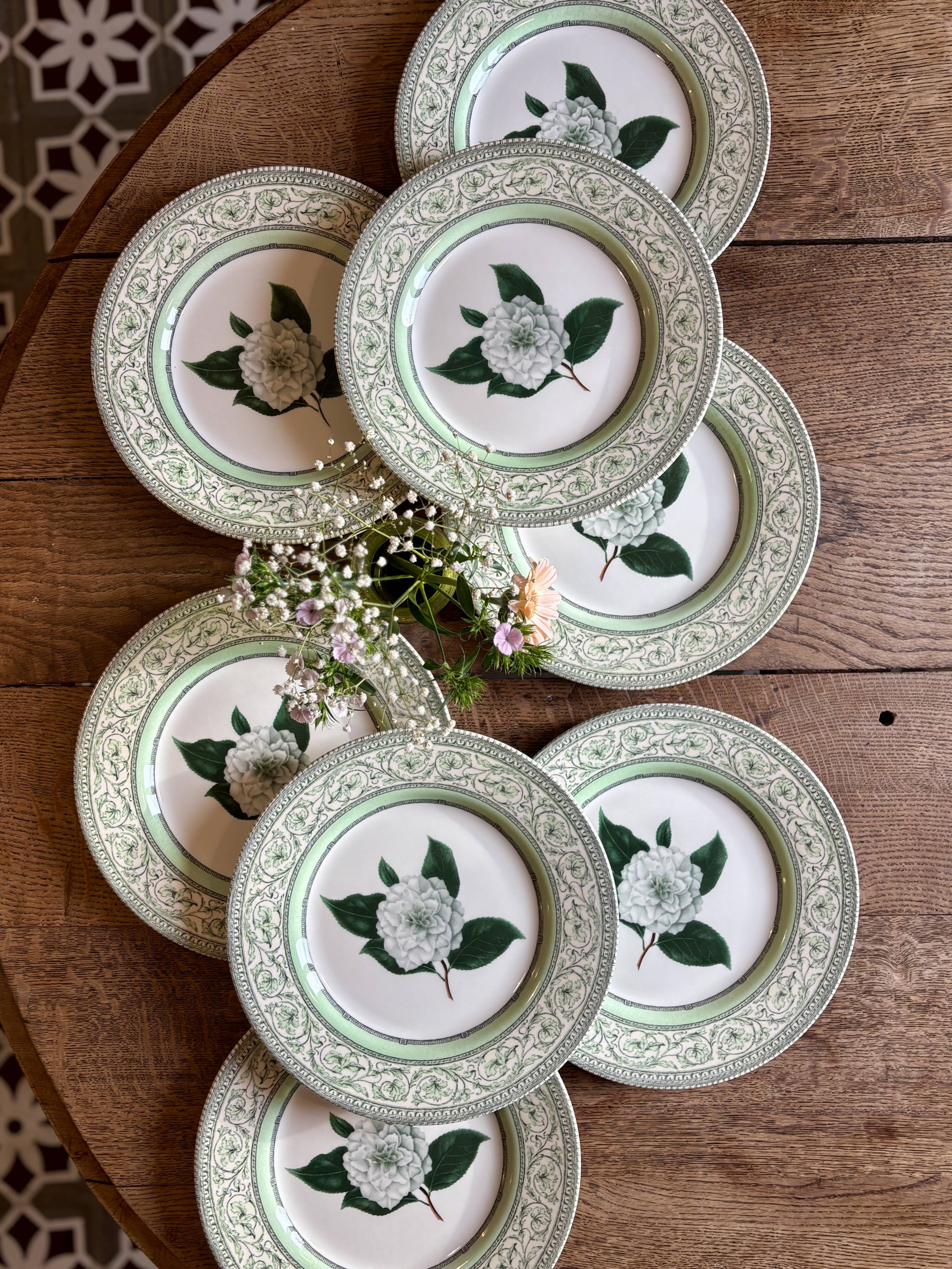 Lot de 8 assiettes plates Camélia - en porcelaine Anglaise