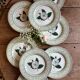 Lot de 8 assiettes plates Camélia - en porcelaine Anglaise