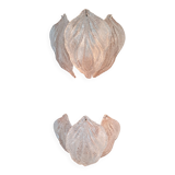 Pair of Novaresi 2-light Murano glass wall lights, Milan 1970.