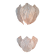 Pair of Novaresi 2-light Murano glass wall lights, Milan 1970.