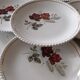 Lot de seize assiettes plates