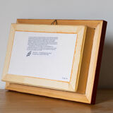 Naturalized insect frame